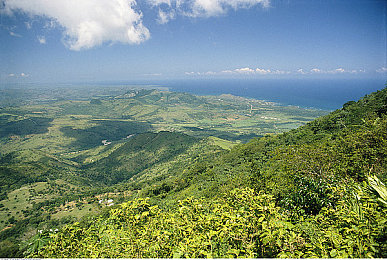 天天色天天色天天色｜新能源汽车新宠，流线科技，驾驭未来-1