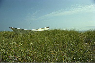 十大禁黄|严打汽车市场乱象!揭秘“十大禁令”助力消费者安心购车-2