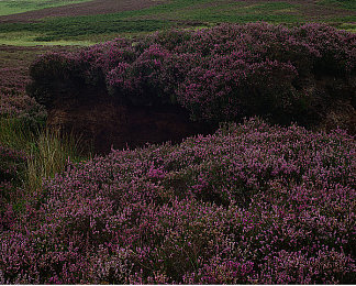 色多多app导入|汽车资讯新篇章,色多多APP全新汽车新闻板块,一站式车界资讯,尽享驾驶乐趣!-3