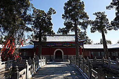 网站你应该明白我说的意思吧|“新能源驱动,智能领航,共享未来,汽车市场变革新纪元”-3