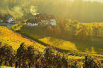 地下室的教养 肌肉 汗水｜匠心铸就，油光锃亮的艺术之旅-1