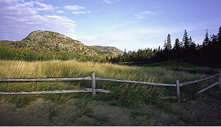 五月丁香狠狠爱|现代设计新宠,智能动力丁香汽车引领五月潮流-1