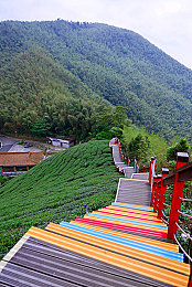 少妇厨房愉情干柴烈火91｜女性魅力与科技融合，＂少妇厨房＂新车型引领驾驶潮流-2