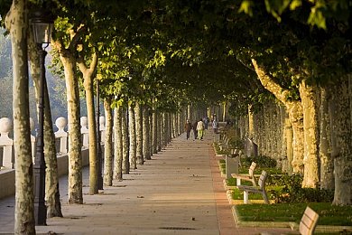 麻花传奇MV星空｜麻花造型引关注，智能科技领风骚：全新汽车体验再升级-4