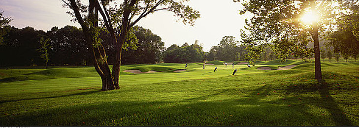 3.03免费OPPO版破解大全直接进入|OPPO手机新应用解锁便捷,免费体验惊喜连连-3