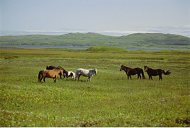 李梓熙各种捆绑调教｜“科技赋能，个性定制，李梓熙汽车引领智能化驾驶潮流”-2