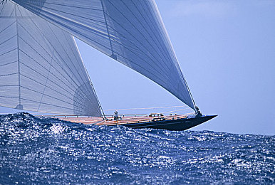 黄色软件大全免费下载2023最新版｜免费导航保养违章查询，汽车软件新宠助力车主出行无忧-3