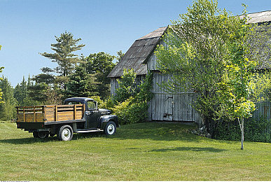 51cg1.ct吃瓜张津瑜|潮流女神代言,51cg1新锐崛起,引领汽车时尚新篇章-1