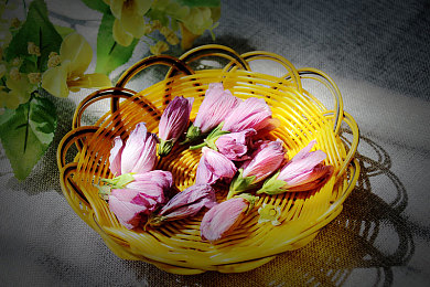 tt抖音色板｜色彩潮流领航者，抖音风潮席卷汽车界-3