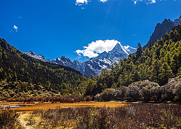 杨敏思版本1到5剧情介绍|杨敏思系列车型迭代升级,从1到5版本,技术革新引领汽车潮流-3
