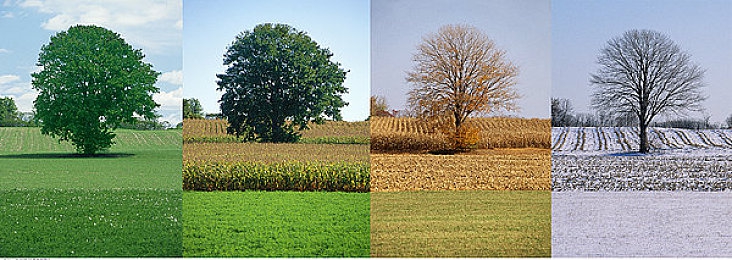 亭亭玉立国色天香综合症怎么治疗｜魅力车型综合征破解，理性购车新视野-4