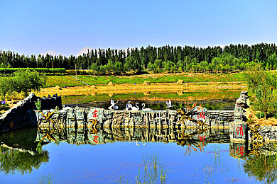 男女困困对困困｜全新车型引关注：独特设计、卓越性能，引领汽车市场潮流-1
