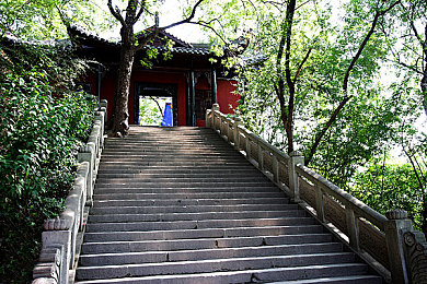 亚洲一区亚洲二区｜全球汽车市场竞争加剧，亚洲两大区域市场潜力巨大，车企战略布局新格局-1