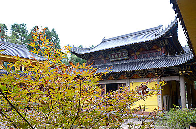 唐三插曲比比东nba｜新锐汽车品牌唐三，融合NBA精神，性能美学双爆表，市场反响热烈成新一代爆款-4