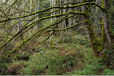 三上和小职员松泽演的什么电影｜都市疾驰，心灵共鸣——驰骋人生，情感共鸣-2