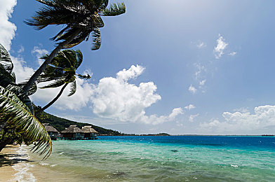 4438全国最大成人网｜新能源汽车领航，智能驾驶助力，后市场潜力无限，汽车新时代启航-2