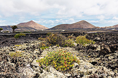 绿意盎然海角侄子25.0婚礼|绿色出行新风尚,海角25.0婚礼倡导环保时尚之旅-2