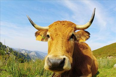 黄色APP下载网站|揭秘手机APP暗藏隐患,警惕不良应用威胁网络安全-2