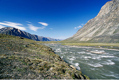 色多多app官方导入|汽车服务平台新潮流引领者:色多多app官方导入,为车主带来便捷智能驾驶体验-5