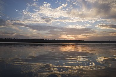 激情五月丁香六月婷婷色婷婷｜丁香紫韵领风潮，婷婷色韵动心驰-1