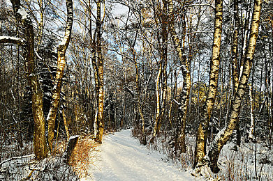 把j拨出来我是你小|新能源汽车先锋,科技融合之美,创享非凡驾驭之旅-2