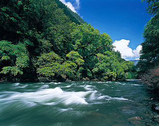 美女搞鸡软件｜智能导航新篇章：语音识别助安全，个性化定制引领驾驶潮流-3