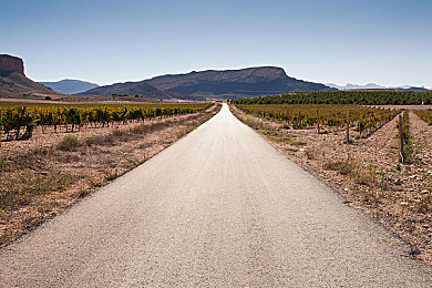 国精产品灬免费灬乱码软件亮点｜国产品牌新突破：免费乱码软件助力，国精汽车品质与智能并存，引领市场新潮流-1