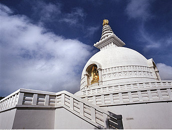 黄软件APP下载｜智能出行，黄途相伴，便捷生活触手可及-1