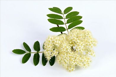 8x8海外华为免费入口|华为科技赋能,智能汽车系统引领未来驾驶新体验-1