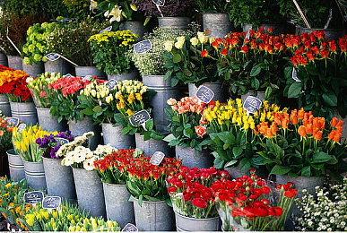 商务旅行中戴绿色帽子的老板同行台词|绿帽领航,商务旅途中自信风采绽放-1