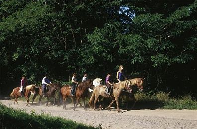 欧美人与禽ZoZ0|ZoZ0车型惊艳欧美市场,创新设计引领汽车潮流,中国汽车产业迈向新高峰-1