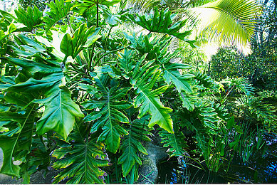 男男网站www网站www网站www|新能源汽车浪潮,专业评测引领未来购车潮流-1