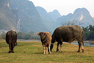 好_色_先_生丅V|神秘好色先生丅V新驾时尚动感座驾,内外兼修科技动力引关注-1