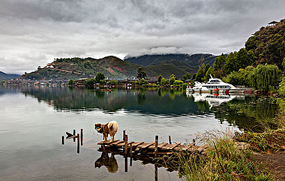 成人的世界一个就够了｜“寻找宁静天地，XX系列汽车助你畅享生活美好，满足你的专属座驾需求”-3