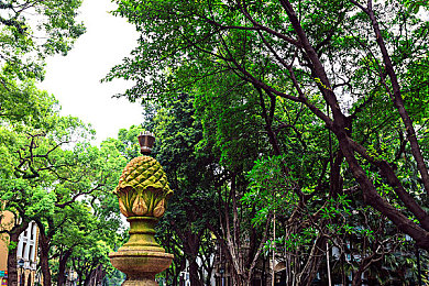 宅男天堂|科技引领新潮流,纯电动车型成宅男新宠-1