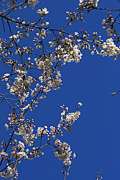 网曝门精品泄密|全新运动时尚车型亮相,动力强劲配置丰富,期待市场表现-2