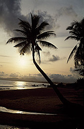 攻受啪啪2分40秒音频|汽车语音助手新潮流:2分40秒音频预见智能出行未来-2