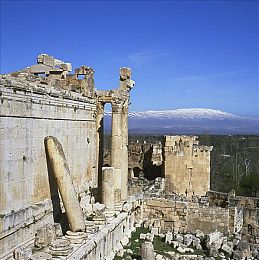 5xs社区免费视频5XSQ｜新能源汽车全解析，5xs社区免费视频助你轻松购车养车-4