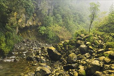 黄色软件安全下载｜智能汽车时代，安全无忧，绿色软件一键下载，守护行车安全-3