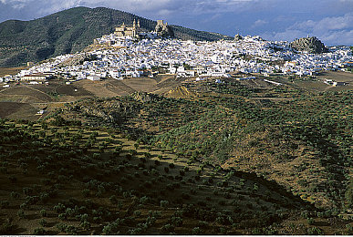 中国护士体内she精2|特斯拉全新概念车亮相:中国护士智慧助力,续航1000公里,设计科技感十足-3