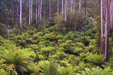 人人射｜驰骋未来，智领风潮，绿色出行新境界-1