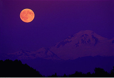 91丝袜｜汽车配件新潮流：致敬轮胎之美，丝袜造型助力行车安全与时尚-1