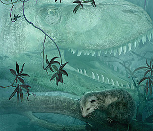 男同志gy www.网站游戏｜汽车文化新风尚，互动游戏领航车迷娱乐潮流-5