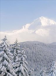 一个人看的视频｜颠覆传统审美的智能科技新能源车惊艳亮相，未来出行新选择备受期待-2