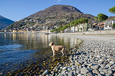 麻花传奇星空免费观看-2