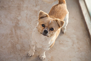 胴体洗澡看个够|汽车新潮流:智能清洁系统打造全新驾驶体验-2