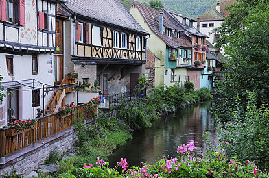 japan白嫩丰满老师|汽车市场新势力:亲和专业,塑造高品质购车新体验-4