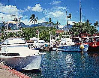 黄色小软件|智能驾驶新篇章:创新科技引领未来出行体验,智慧出行利器助力汽车行业发展-3