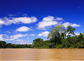 性一交一乱一交一配｜创新跨界，性感驱动，引领未来汽车潮流-4