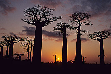 奴役支配狂虐XXXXX|狂飙动力,驾驭巅峰,颠覆传统,狂野之魂驾驭未来-1
